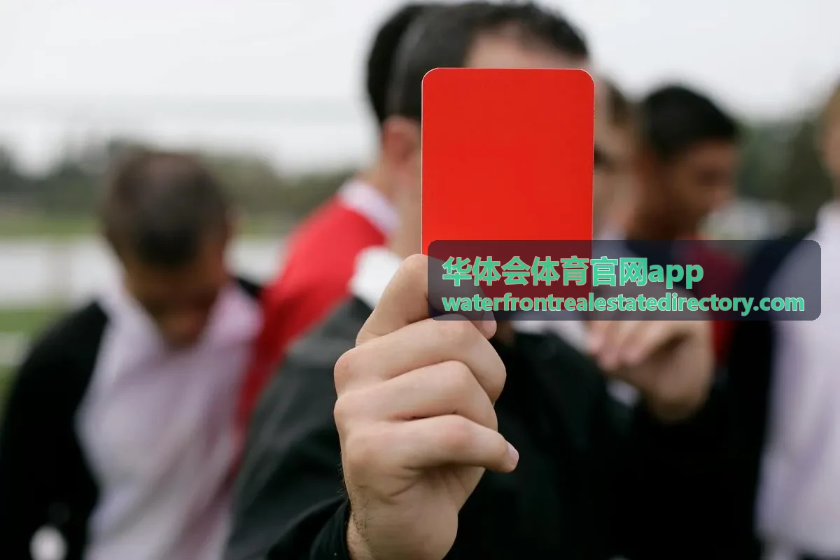 华体会体育官网app 赛况数据说明封面