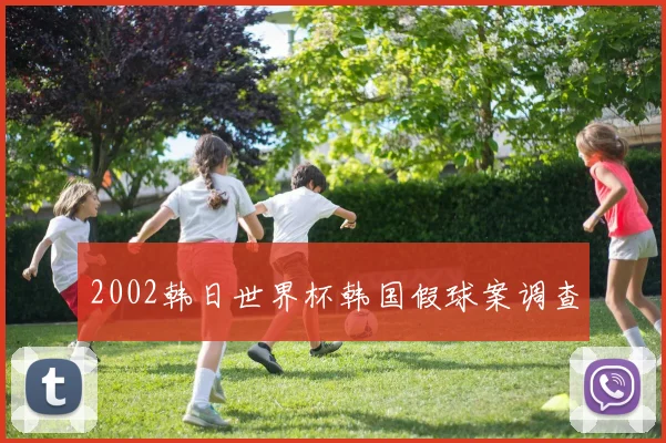 2002韩日世界杯韩国假球案调查