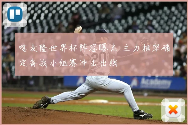 喀麦隆世界杯阵容曝光 主力框架确定备战小组赛冲击出线