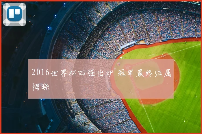 2016世界杯四强出炉 冠军最终归属揭晓